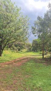 Ruta San Bernardino Luque calle es vedra , San Bernardino, Cordillera 00001, Le Paraguay