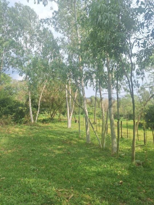 caacupe , Caacupé, Cordillera 00001, Paraguay