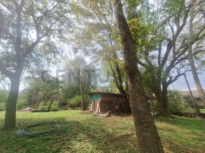 caacupe , Caacupé, Cordillera 00001, Paraguay