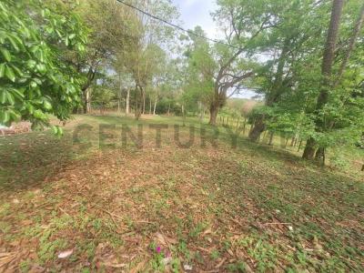 caacupe , Caacupé, Cordillera 00001, Paraguay