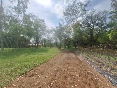 caacupe , Caacupé, Cordillera 00001, Paraguay