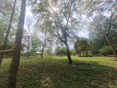 caacupe , Caacupé, Cordillera 00001, Paraguay