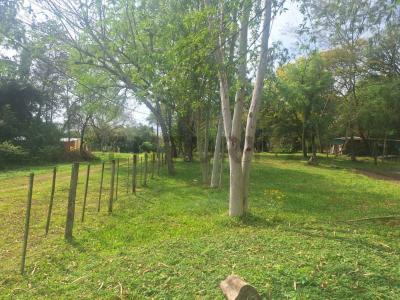 caacupe , Caacupé, Cordillera 00001, Paraguay