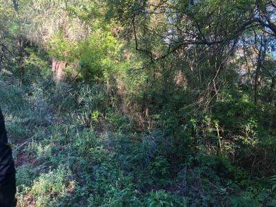 Atyra, Cordillera 1801, Paraguay