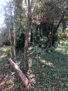 Atyra, Cordillera 1801, Paraguay