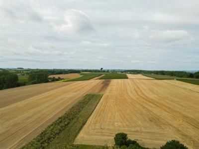 Boskant 12, Oudenaarde, 比利時