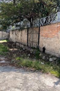 11181 Sierra Noas ,, Miguel Hidalgo, Ciudad De México 11000, Messico