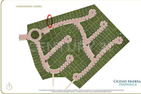 Ciudad Maderas Península  Condominio Cluster 'Ciprés' Lt 138,, Progreso, Yucatan 97321, Mexico