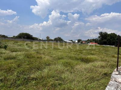 BENITO JUAREZ 39,, San Juan Del Río, Querétaro 76804, México