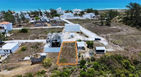 Ciudad Madero, タマウリパス 89505, メキシコ