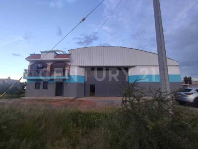 Morelos, Zacatecas 98100, Mexico