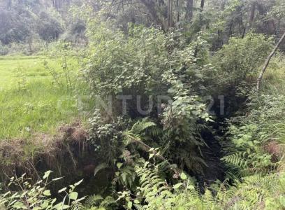 Valle De Bravo, メヒコ州 51245, メキシコ