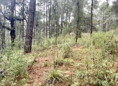 Valle De Bravo, メヒコ州 51245, メキシコ