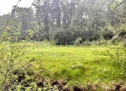 Valle De Bravo, メヒコ州 51245, メキシコ