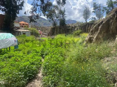 Mallasilla, La Paz 00001, 볼리비아