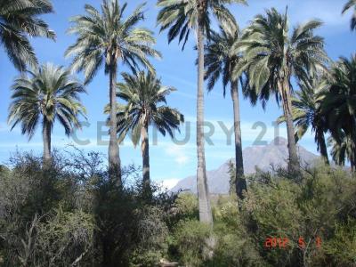 El Trigal, Oasis de la Campana, Parcela, Quillota, Valparaíso 00001, Chili