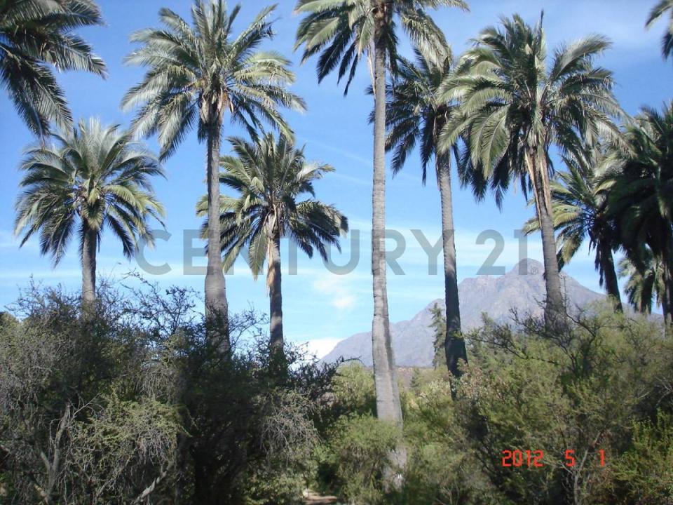 El Trigal, Oasis de la Campana, Parcela, Quillota, Valparaíso 00001, Chili