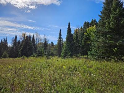 Lt 3 Blk 1 County Rd 238, Deer River, Minnesota 56636, États-Unis