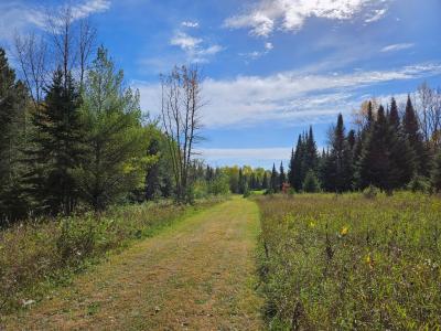 Lt 3 Blk 1 County Rd 238, Deer River, Minnesota 56636, États-Unis