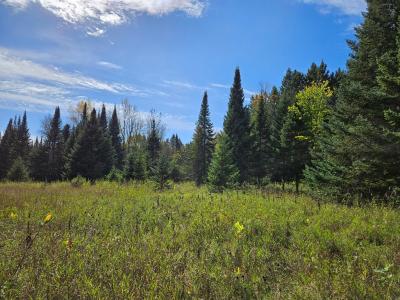 Lt 3 Blk 1 County Rd 238, Deer River, Minnesota 56636, États-Unis