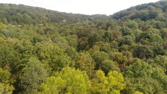 15001 South Hwy 27, Burnside, Kentucky 42519, USA