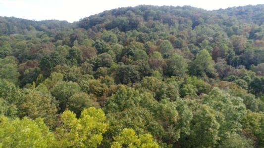 15001 South Hwy 27, Burnside, Kentucky 42519, USA