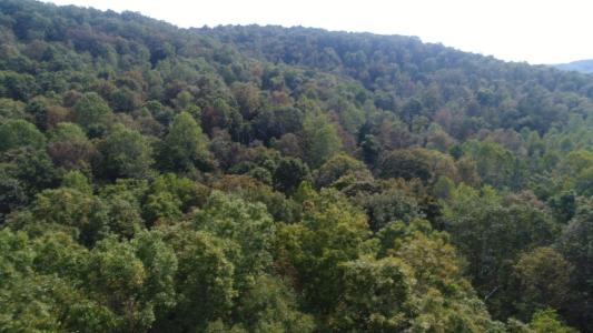 15001 South Hwy 27, Burnside, Kentucky 42519, USA