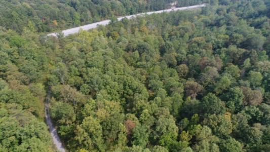 15001 South Hwy 27, Burnside, Kentucky 42519, USA