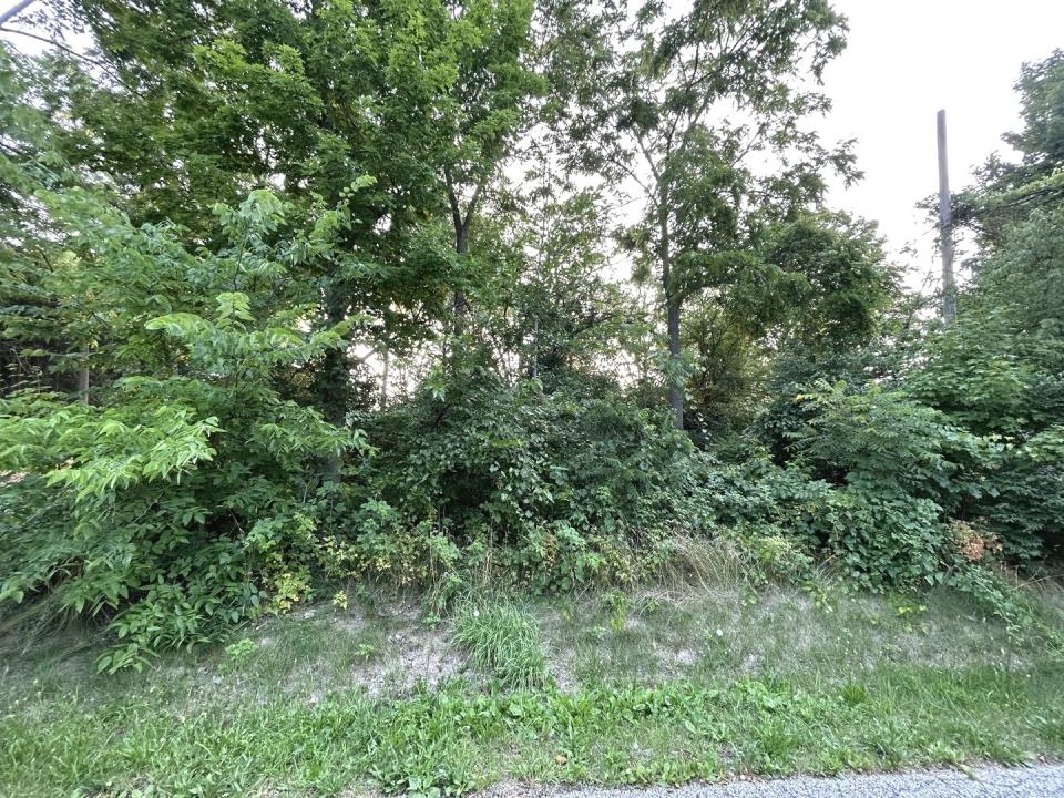 0 Lear Street, Wonder Lake, 伊利諾州 60097, 美國