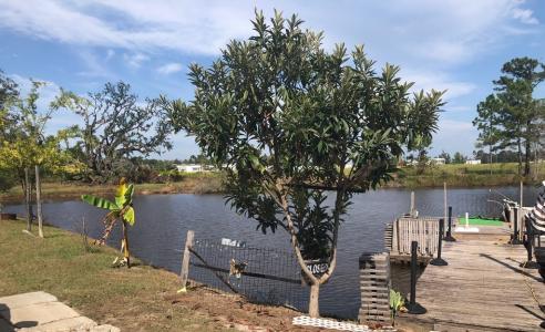 281 S Hwy 221, Lakeland, Georgia 31635, Stati Uniti