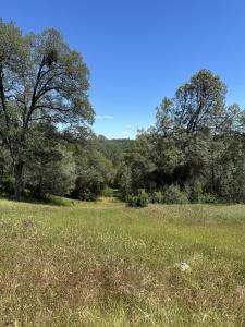 12787 Country Heights Drive, Penn Valley, California 95946, USA