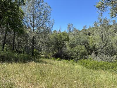 12787 Country Heights Drive, Penn Valley, 加利福尼亚州 95946, 美国