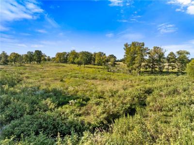 TBD County Road 185, Anderson, Texas 77830