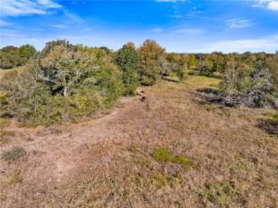 TBD County Road 185, Anderson, Texas 77830