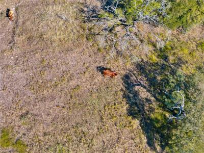 TBD County Road 185, Anderson, Texas 77830