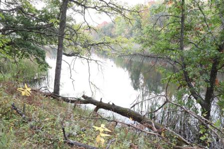 XXX Normans Landing Rd, Webster, 威斯康辛州 54893, 美国