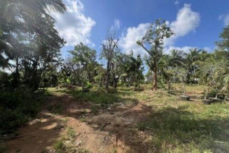 DEVELOPMENT OPPORTUNITY - HIGH & DRY LOT IN NORTHWARD - .53 ACRES, Fig Tree Drive, Lower Valley, Grand Cayman, Islas Caimán