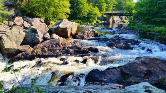 8101 KINGS RIVER ROAD, Ramara, 온타리오주 L0K 2B0, 캐나다