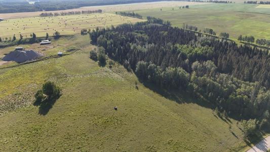 32373 RANGE ROAD 52, Rural Mountain View County, Alberta T0M 1X0, Kanada