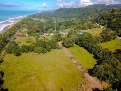 Dominical Bahía Ballena Osa, פונטרנס 00001, קוסטה ריקה