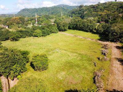 Dominical Bahía Ballena Osa, פונטרנס 00001, קוסטה ריקה