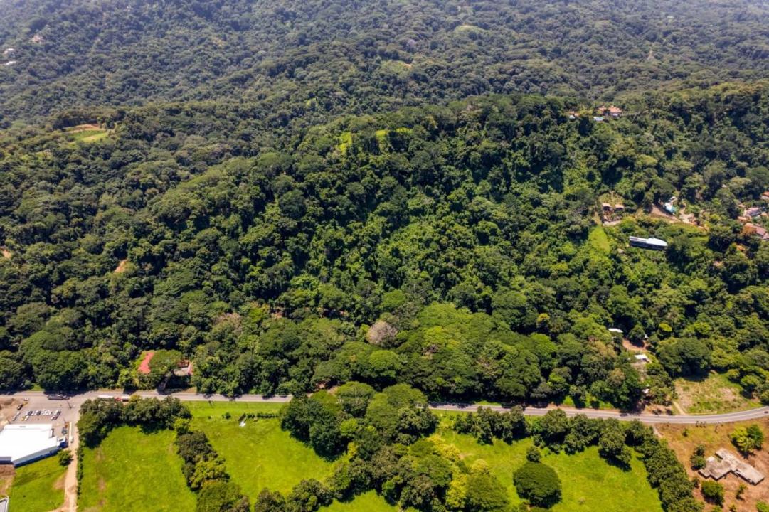 Dominical Bahía Ballena Osa, 푼타레나스 00001, 코스타 리카