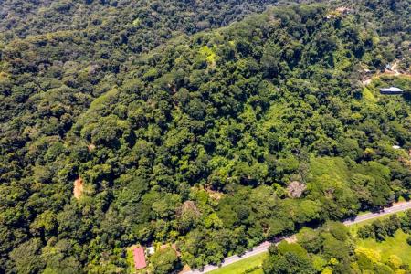 Dominical Bahía Ballena Osa, 푼타레나스 00001, 코스타 리카