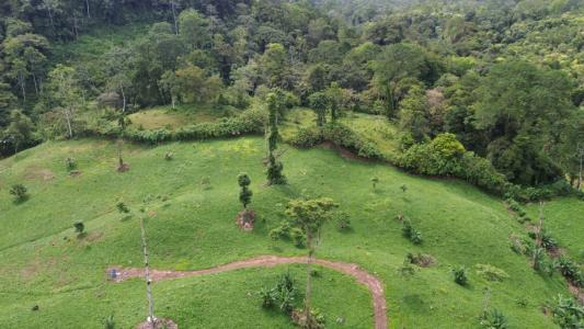 Turrialba Turrialba, Cartago 30501, Costa Rica
