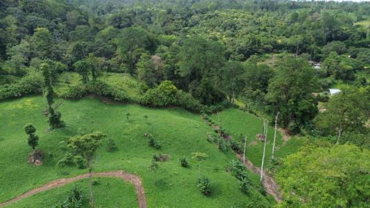 Turrialba Turrialba, Cartago 30501, Costa Rica