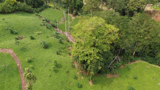 Turrialba Turrialba, Cartago 30501, Costa Rica