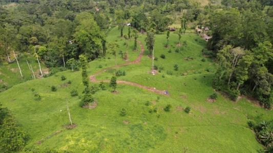 Turrialba Turrialba, Cartago 30501, Costa Rica