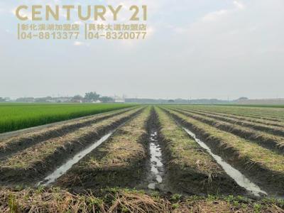 永基段, Zhutang Township, Changhua County 525, 대만