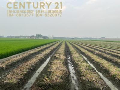 永基段, Zhutang Township, Changhua County 525, 대만