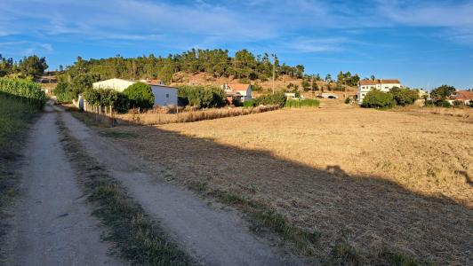 Torres Novas, Santarém 2350-342, Portugal